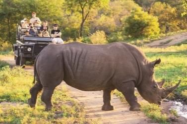 阪急 走る最高級ホテル をチャーター 南アフリカ豪華列車の旅 旬刊旅行新聞 株式会社旅行新聞新社