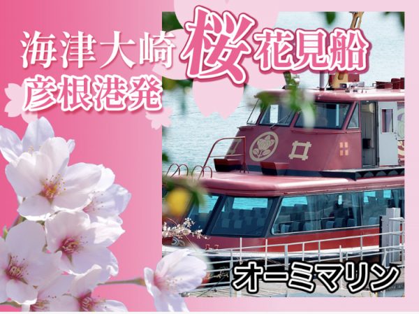 海津大崎桜お花見クルーズ3月30日から運航　オーミマリン