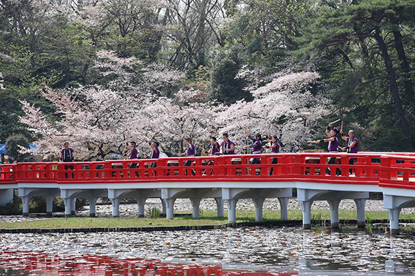 さいたま市・岩槻城址公園で桜まつり　3月23、24日に開催